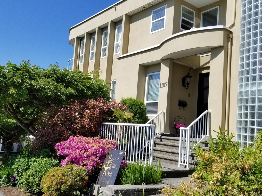 海之星住宿加早餐酒店主图