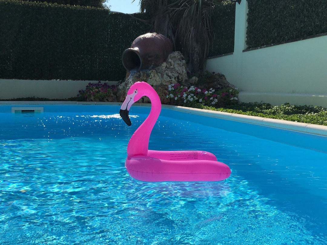 拉皮科拉绿洲1和2住宿加早餐酒店主图