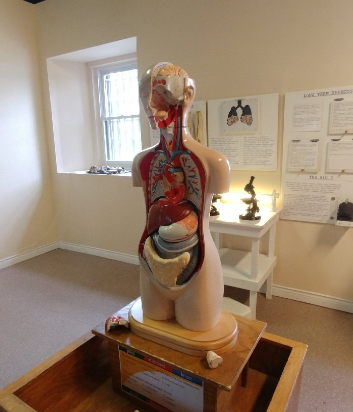 Science East-弗雷德里克顿必去景点