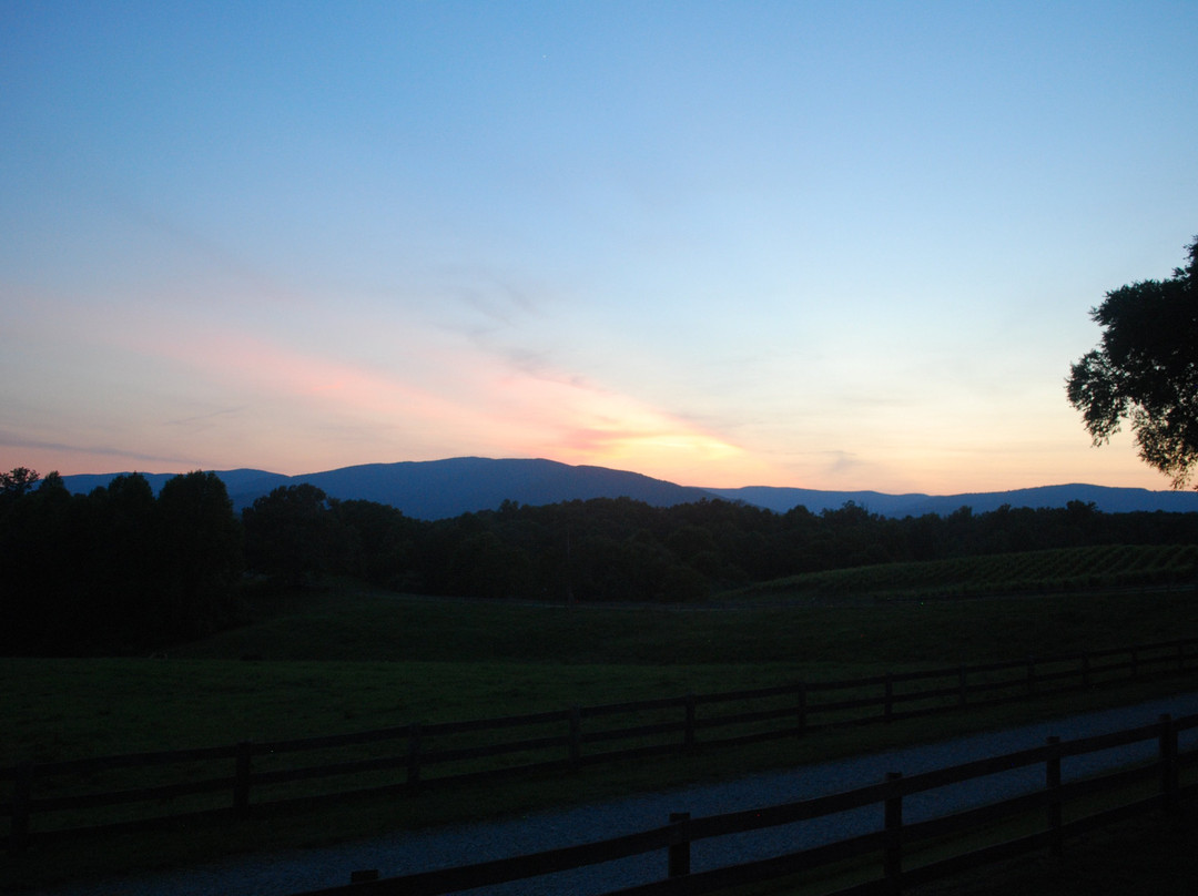 Knight's Gambit Vineyard-夏洛茨维尔必去景点