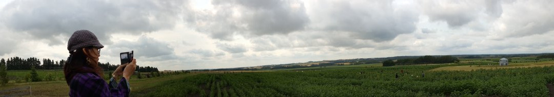 Bowden SunMaze & Eagle Creek Farms景点图片
