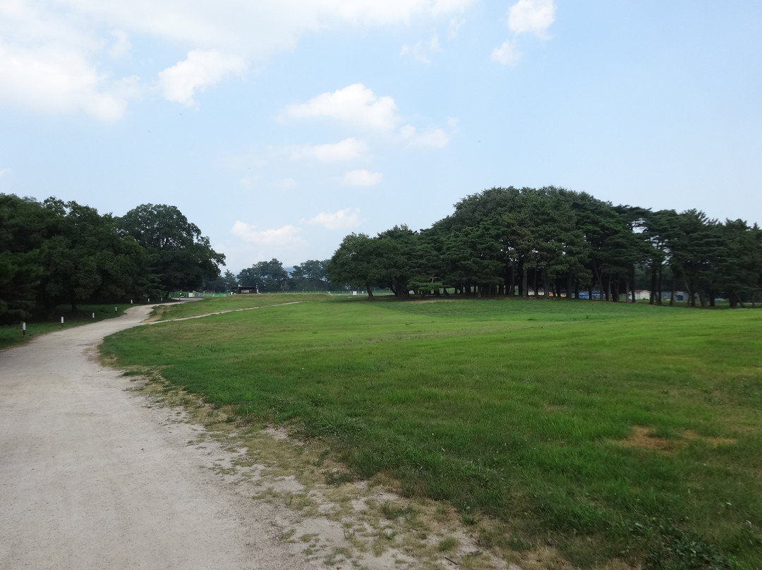 Banwolseong Fortress-庆州市必去景点