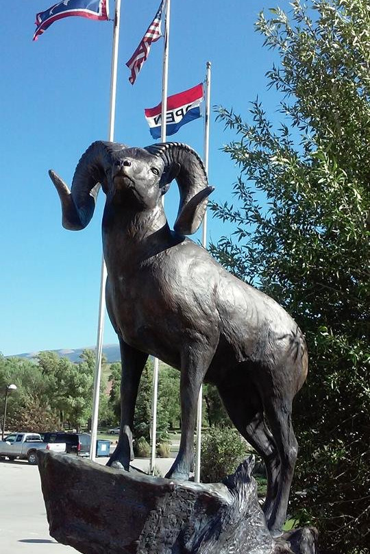 National Bighorn Sheep Center景点图片