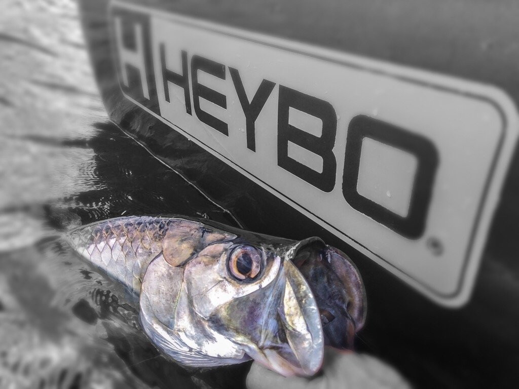 Phlats - Light Tackle Inshore Fishing-North Palm Beach必去景点