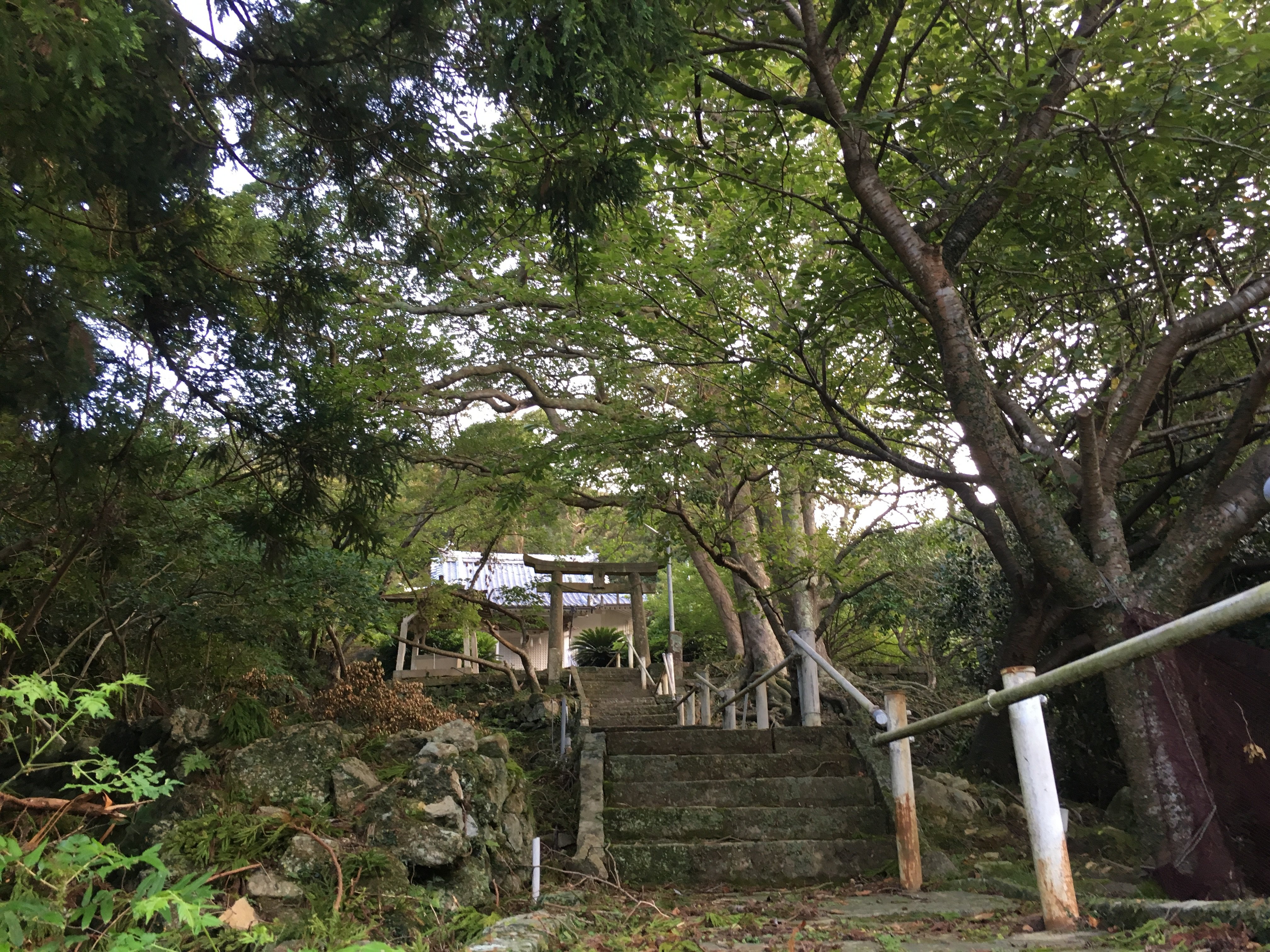Minshuku Tsuruya-官方