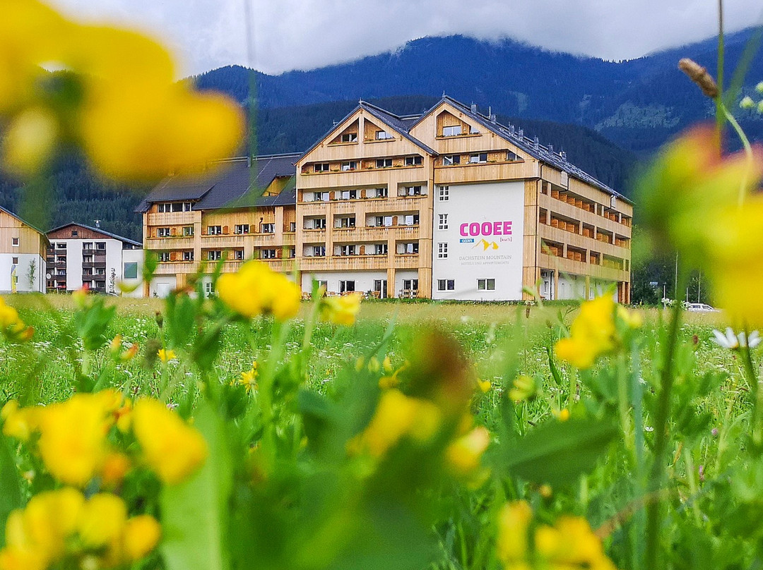Cooee Alpin Hotel Dachstein主图