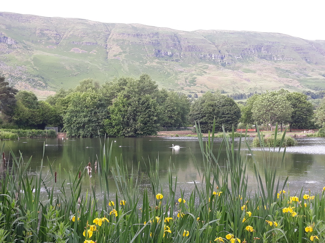 Whitefield Pond-Lennoxtown必去景点