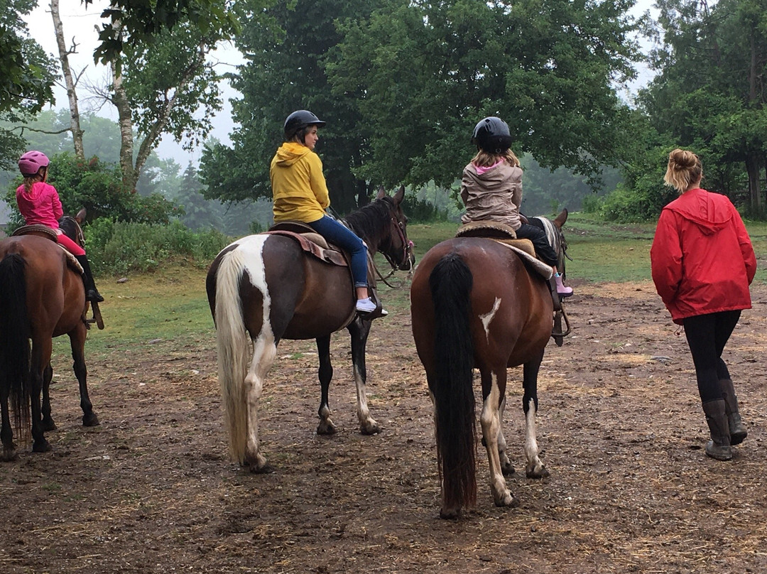 Fallbrook Trail Ranch-Georgetown必去景点