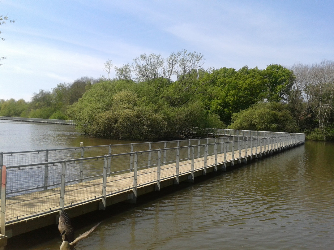 Ifield Mill Pond and Bewbush Water Gardens景点图片