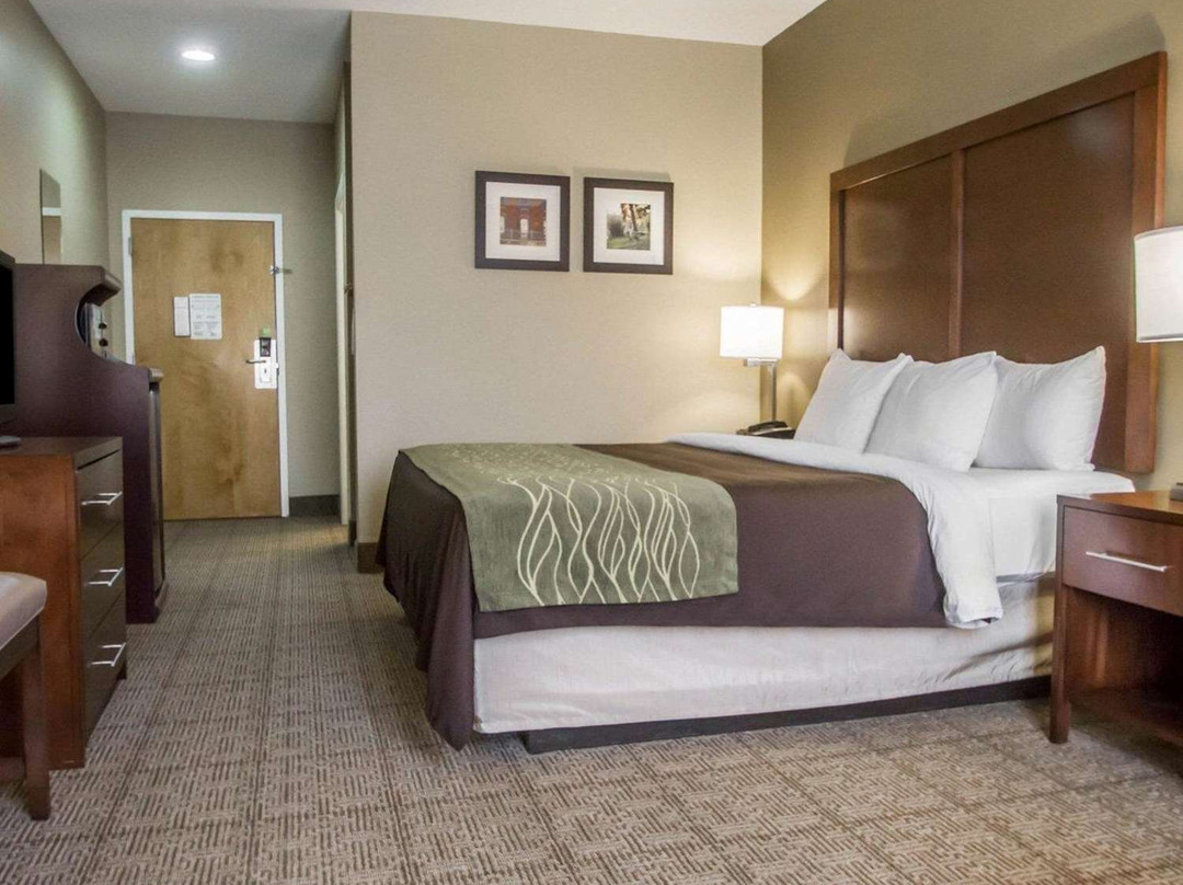 Comfort Inn Amite主图