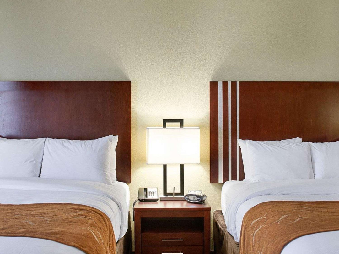 Comfort Suites Greenwood主图