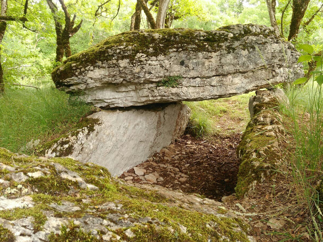 Les Dolmens de Limogne