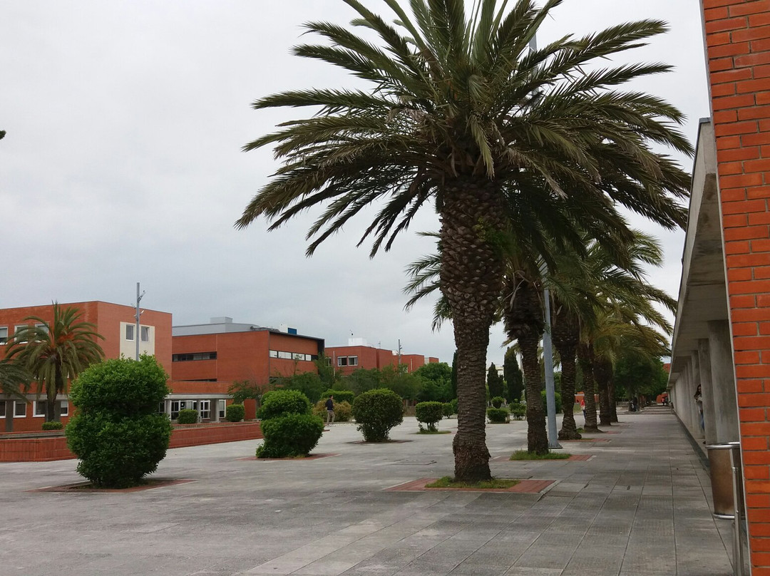 Universidade de Aveiro景点图片