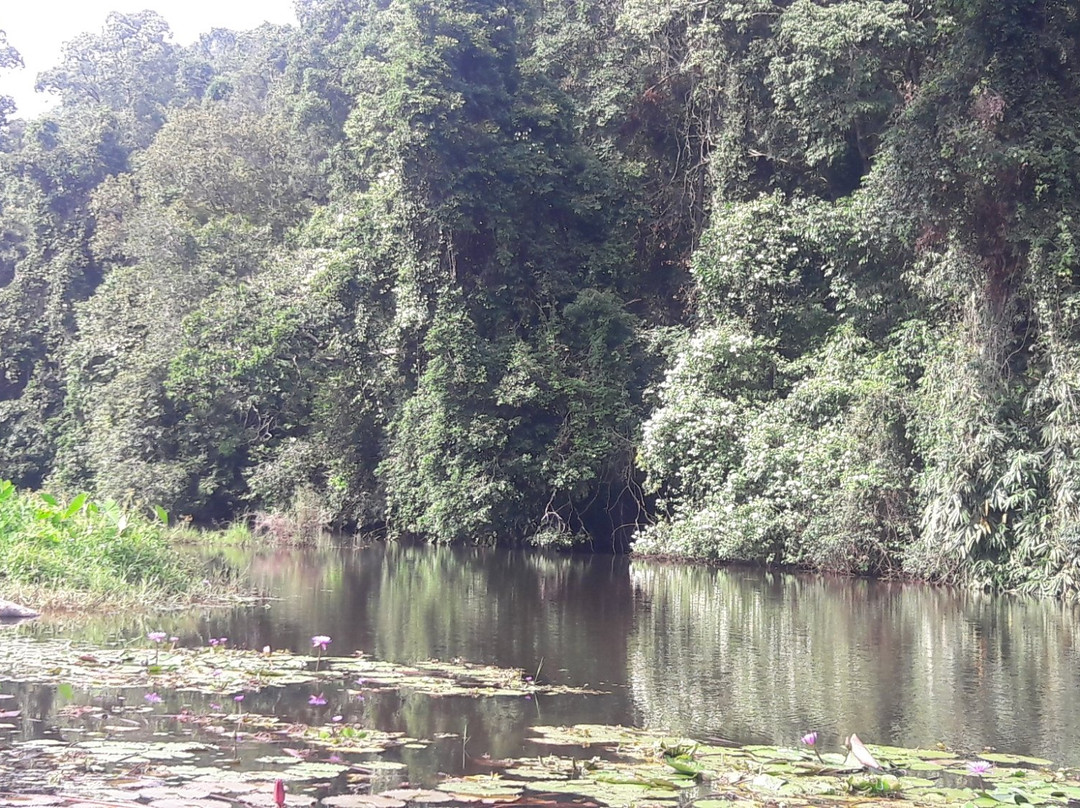 Vagamon Falls景点图片