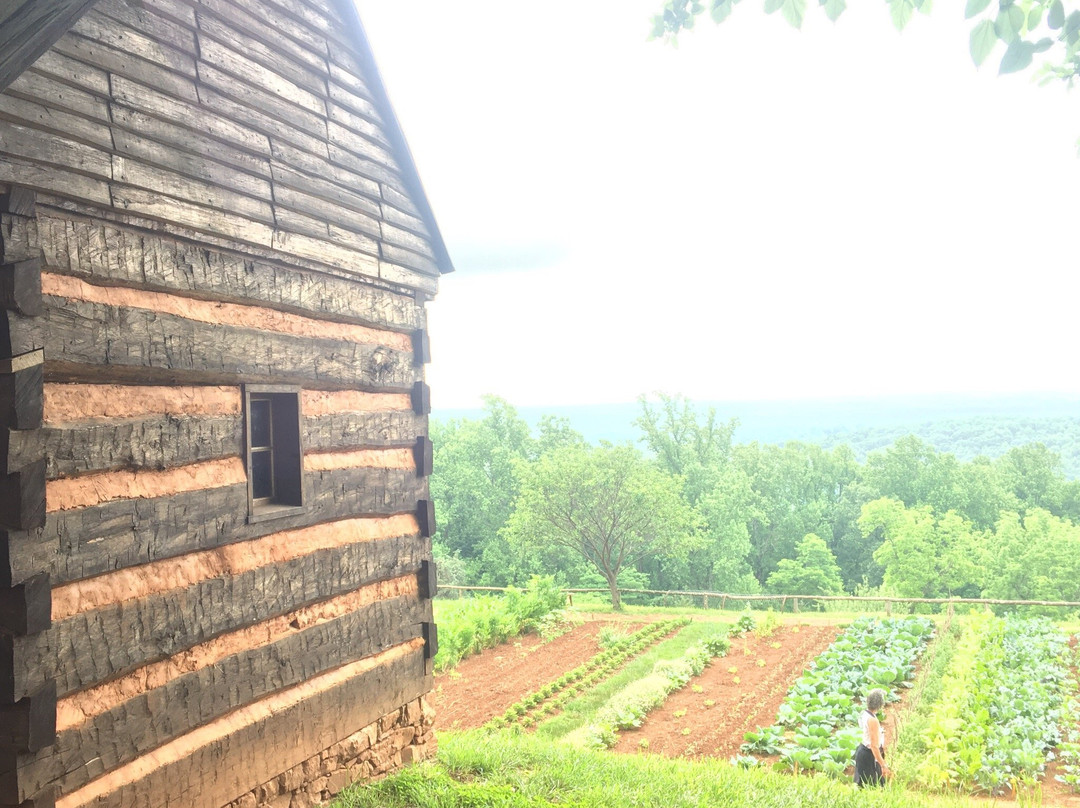 Mulberry Row-夏洛茨维尔必去景点