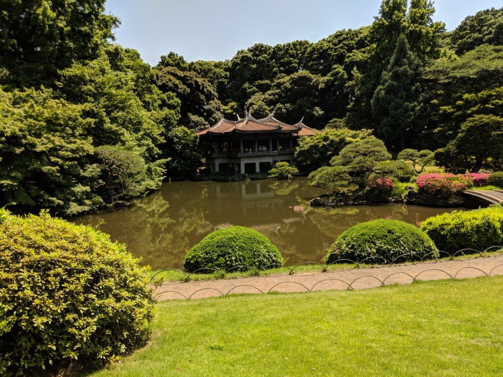 新宿御苑景点图片