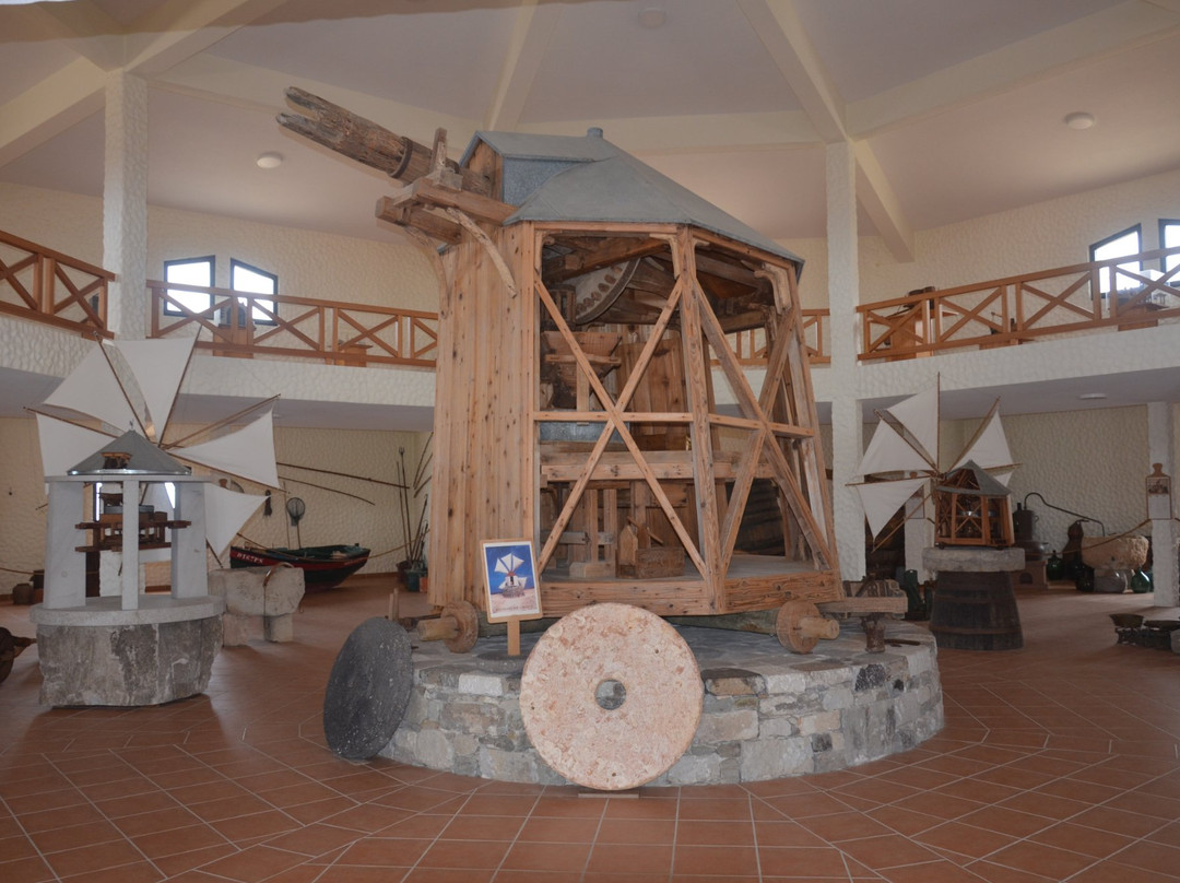 Museu do Cardina-Porto Santo Island必去景点