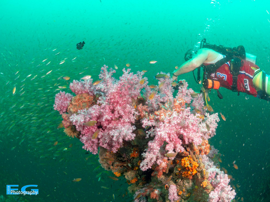 American Divers Phuket景点图片