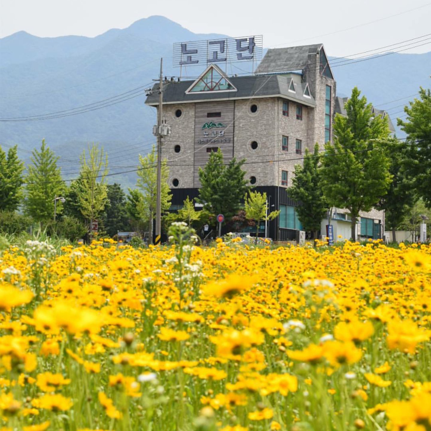 Nogodan Guesthouse & Hotel-官方