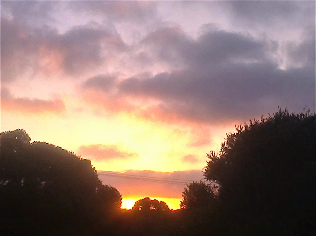 Fitzpatrick Seat-Aireys Inlet必去景点