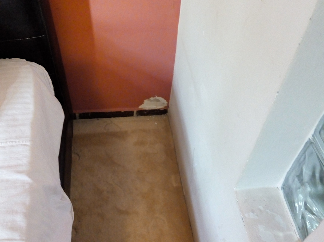 Garni Hotel Park主图