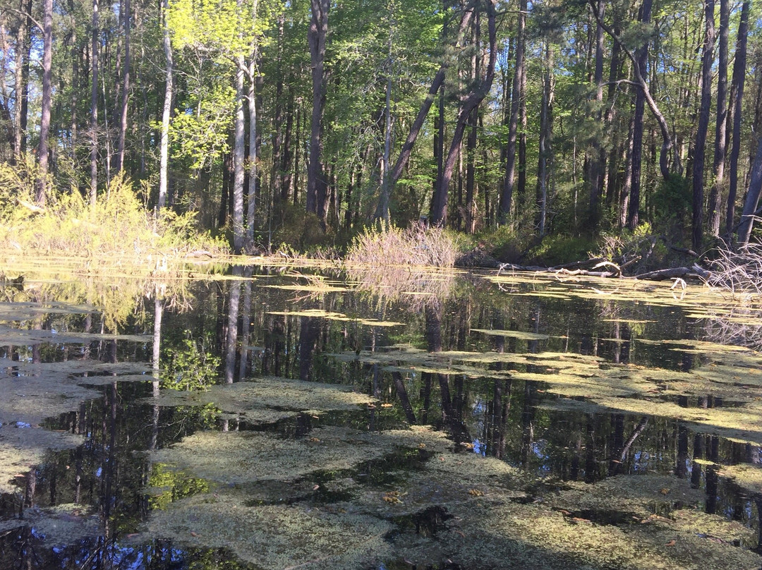 Eastville旅游攻略图片