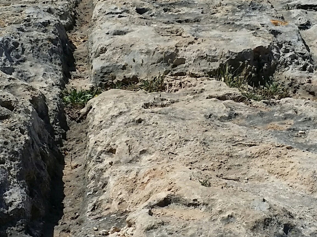 Cart Ruts-Naxxar必去景点