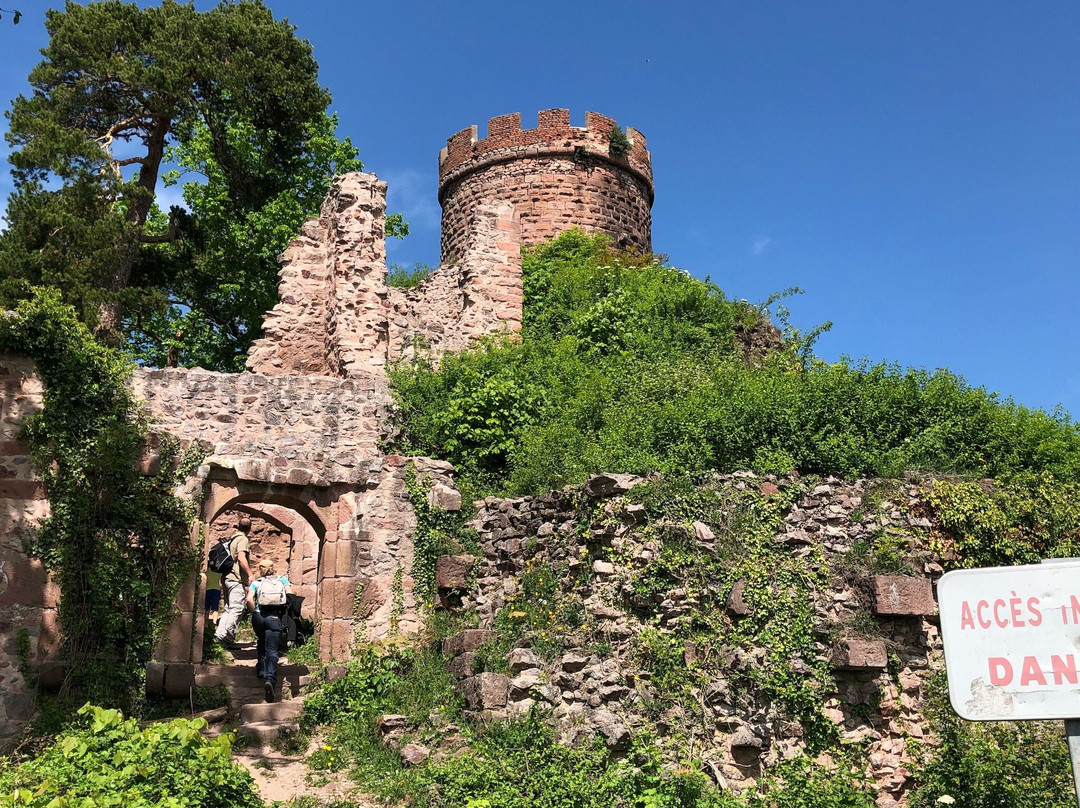 Château du Haut-Ribeaupierre景点图片