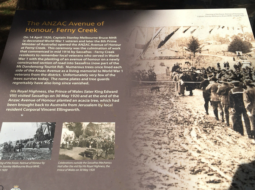 Ferny Creek-Sassafras必去景点