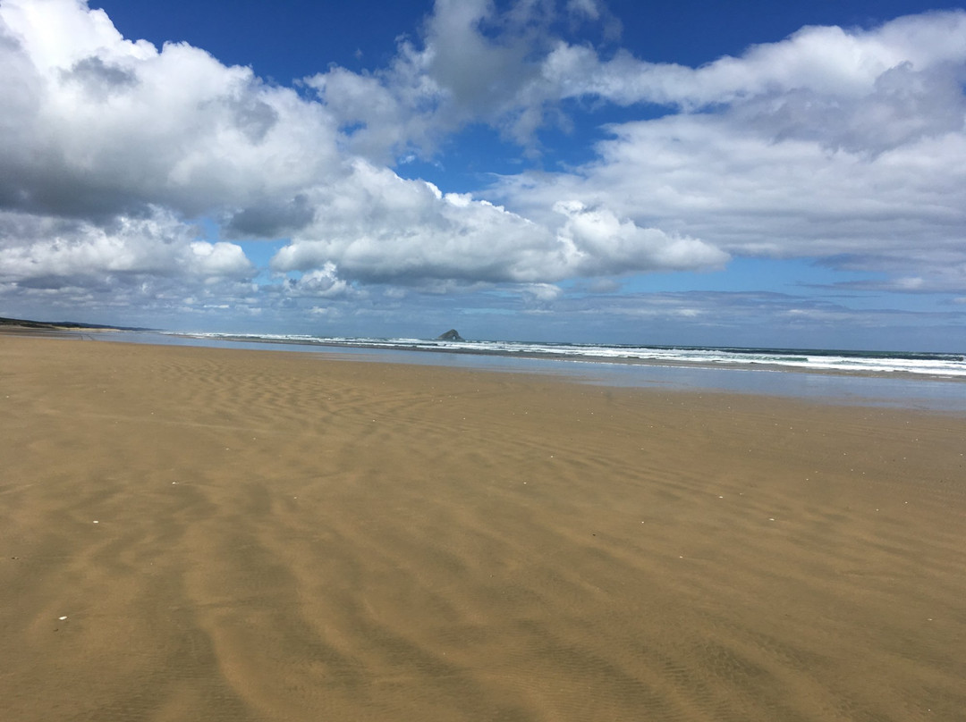 Cape Reinga Adventures Day Tours景点图片