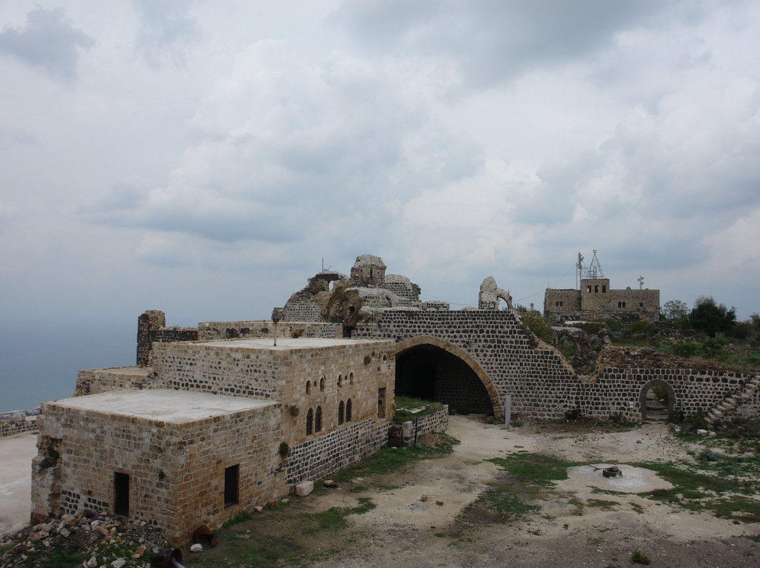 The Templar Fortress of Tartous景点图片