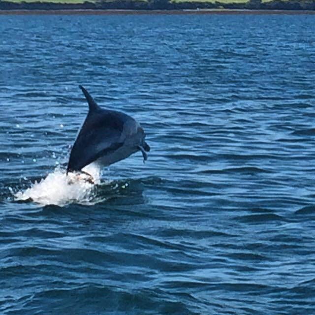 Bantry Bay Boat Hire-Bantry必去景点