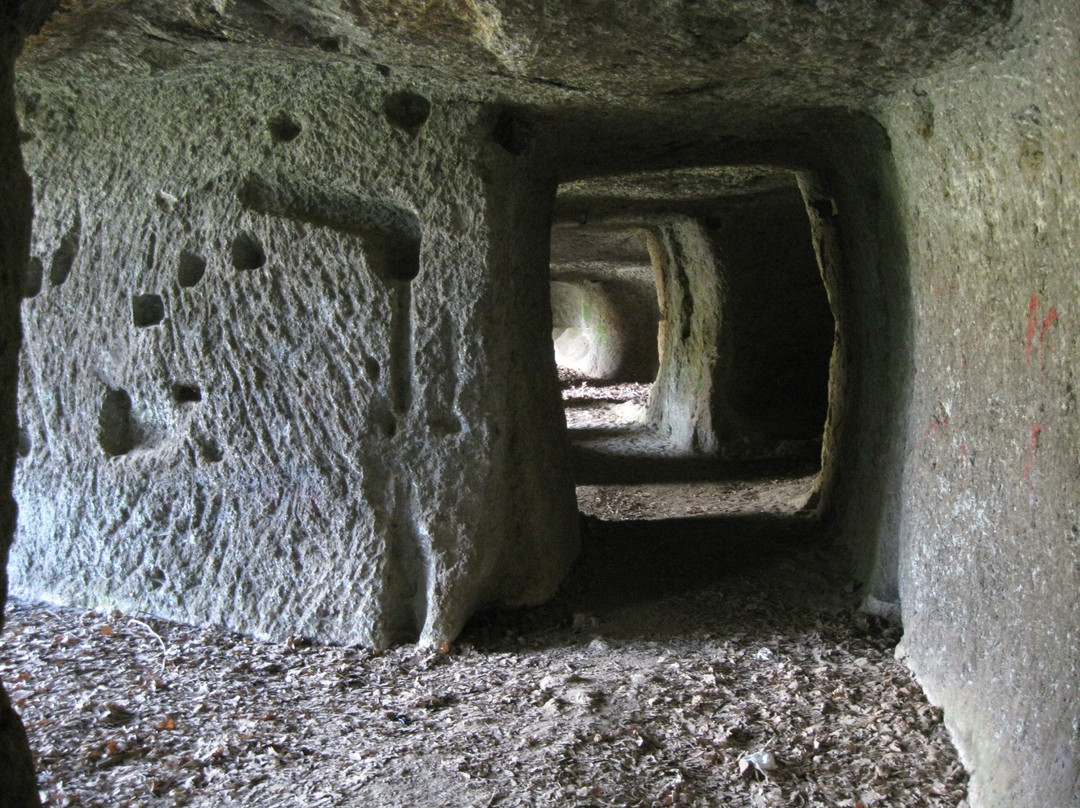 Grotte dei Quadratini e dei Finestroni景点图片