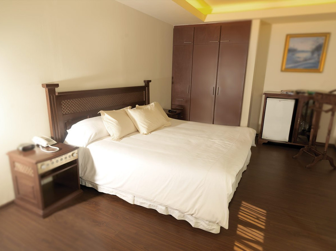 Hotel La Colonia主图