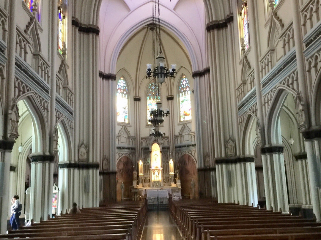 Basilica Nossa Senhora de Lourdes景点图片