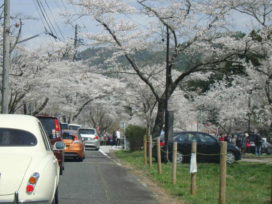 Teraogaharasenbon Sakura Park景点图片