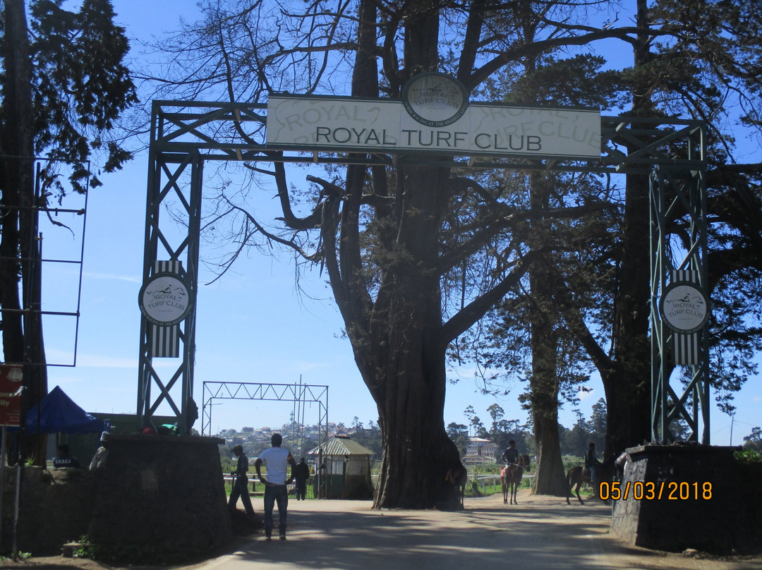 Royal Turf Club-奴娃拉伊利雅必去景点