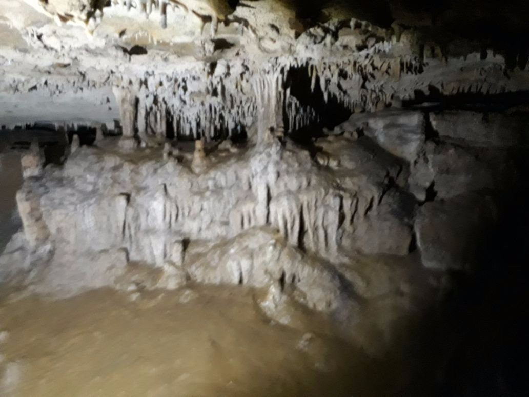 Parque Nacional Natural Cueva de los Guacharos景点图片