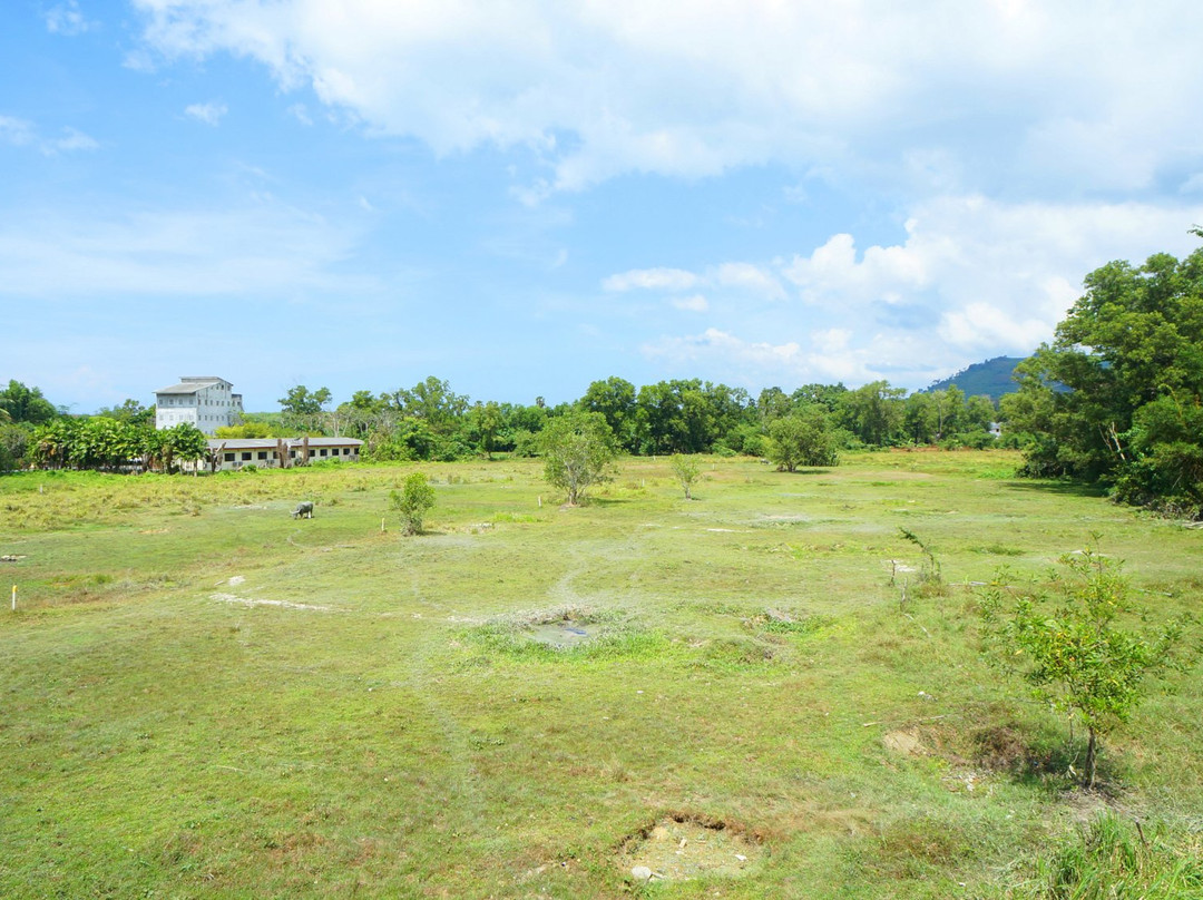 Apa-Tree Boutique Hotel主图