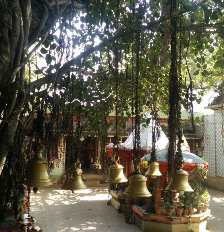 Alakhnath Temple景点图片