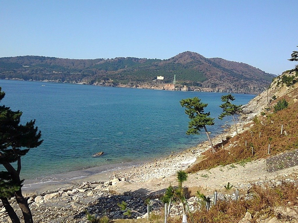 Kinkasan Koganeyama Shrine景点图片