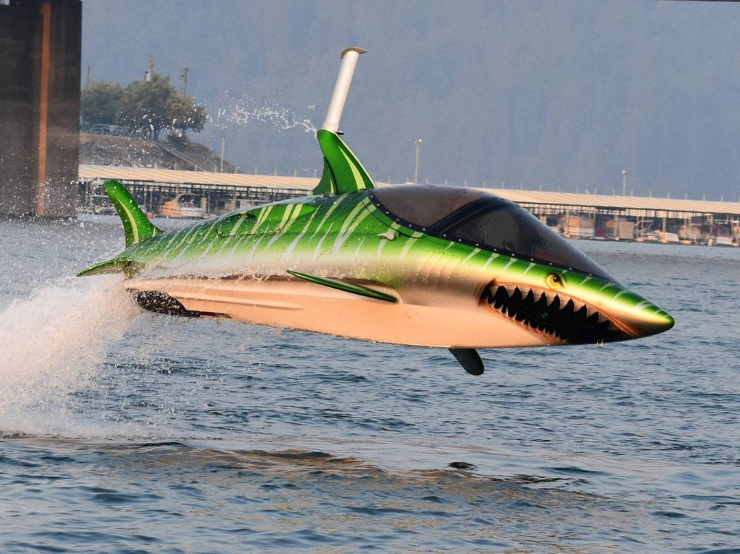 SkyShark