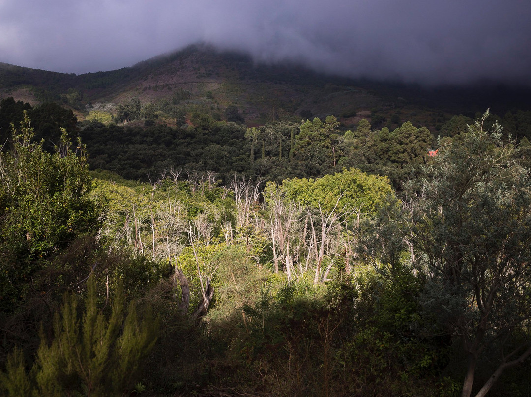 Pentaprisma Photography Workshops-大加那利岛拉斯帕尔马斯必去景点