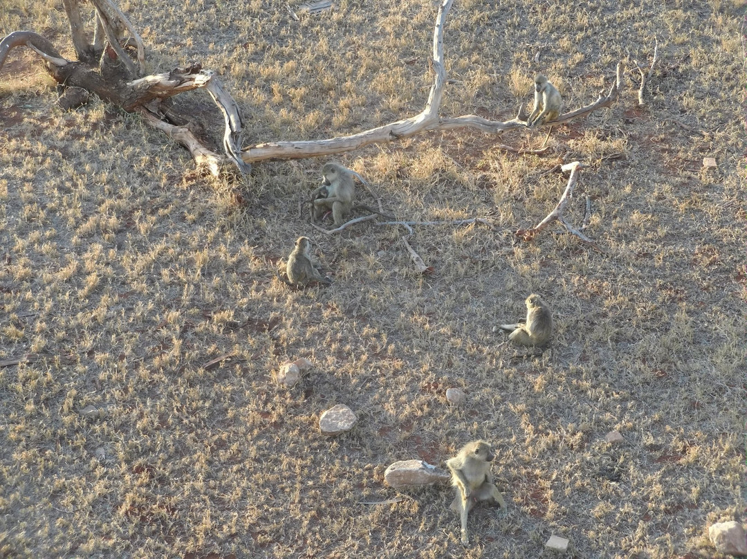 萨洛瓦台达山游乐旅馆主图