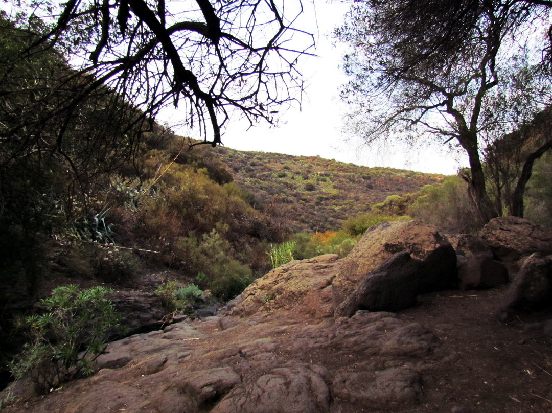 Barranco De Los Cernicalos景点图片