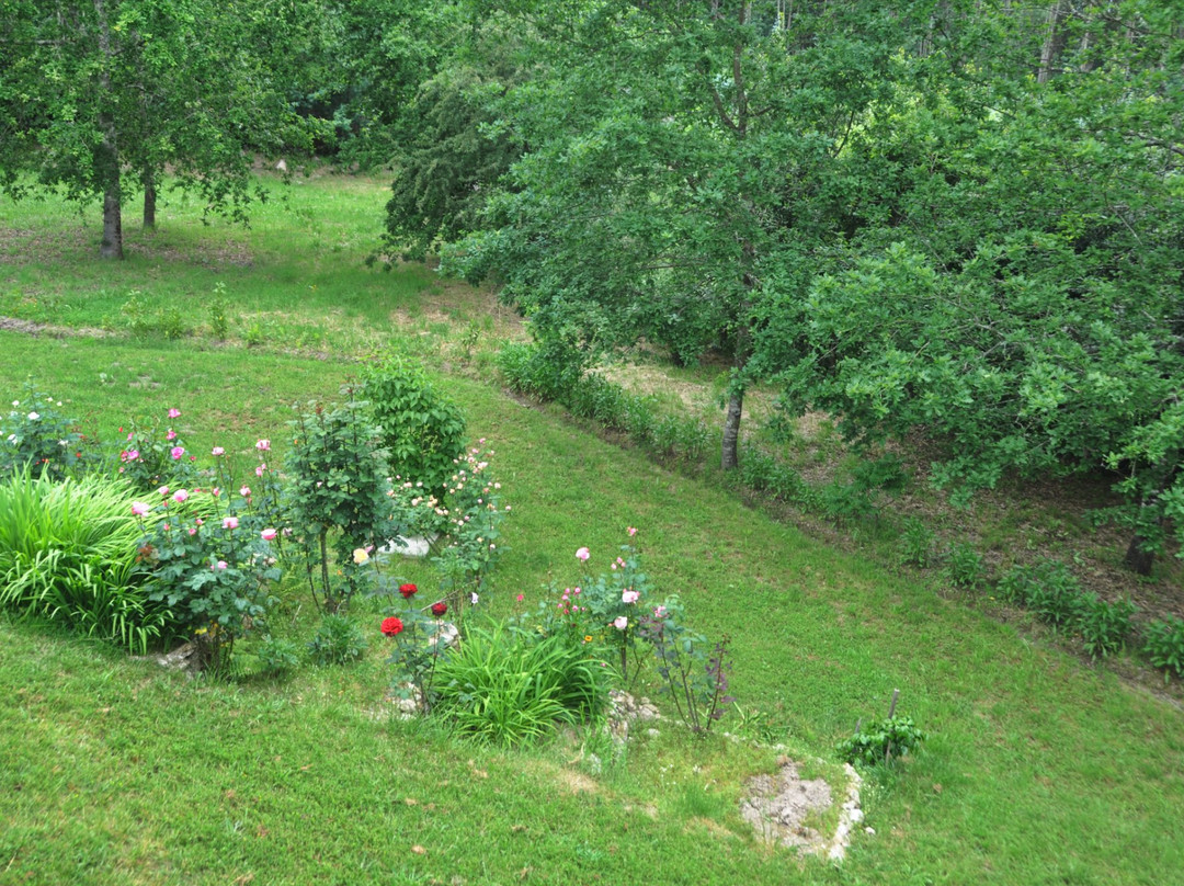 Vale Martinho - Paradise is Real主图