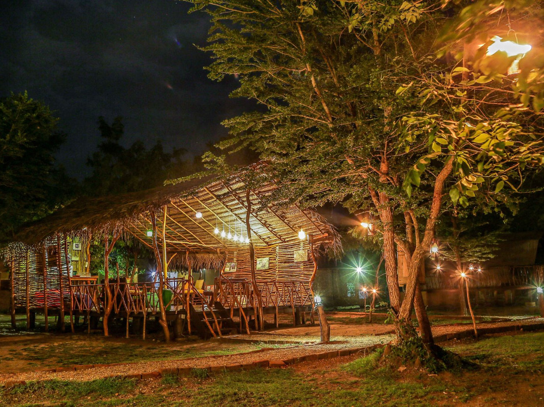 Camp Leopard - Yala Safari Glamping主图