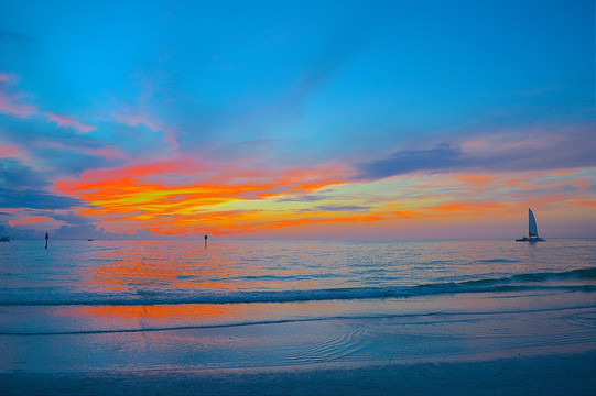 Clearwater Suncoast Charters-帕姆港必去景点