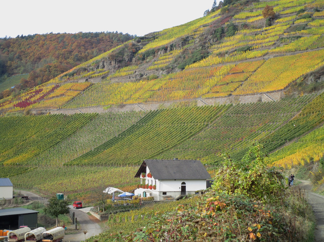 Kalenborn餐馆和美食-Moenchbergs Hof