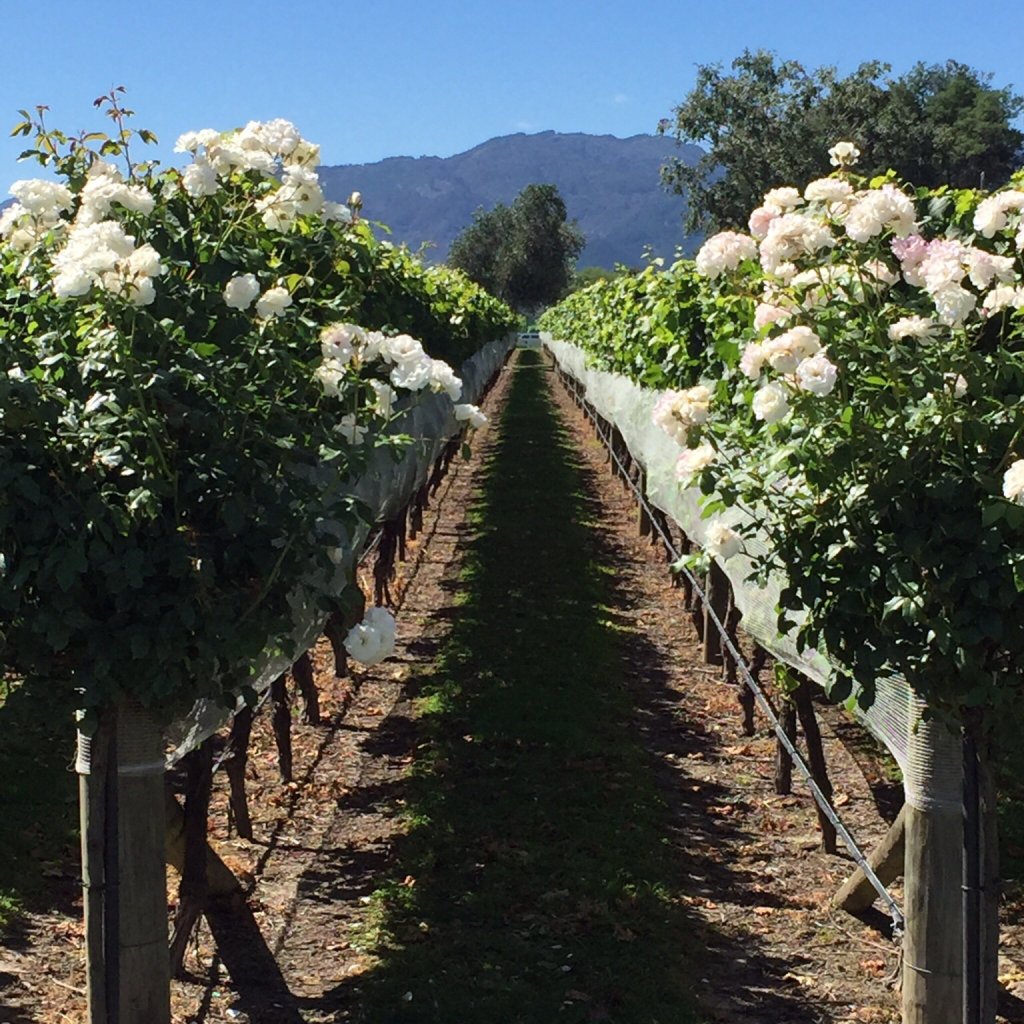 Blackley House B&B-官方